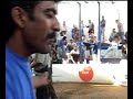 peleas de gallos en la paz bcs mexico 3 peleas de gallos en la paz bcs mexico 3