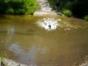 Boston Terrier Puppy Loves Water