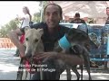 Un día de perros, en el Retiro.