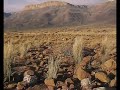 Die kind wat doodgeskiet is deur soldate by Nyanga Die kind wat doodgeskiet is deur soldate by Nyanga