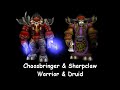 Level 39 PvP Twinks: Fearthis and Liviuh - Thumb #3