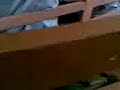Video002