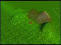 Neverwinter Nights 2 Toolset y luces
