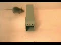 The Better Mouse Trap The Better Mouse Trap