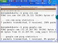 Edubuntu And Basic Networking