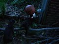 Boston Terrier Basketball Boston Terrier Basketball