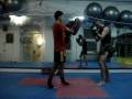 Focus mitts