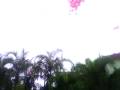 DASSK's 63 Birthday