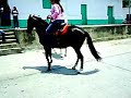 Desfile