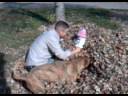 Ed, Julia & Deuce in the leaves Ed, Julia & Deuce in the leaves