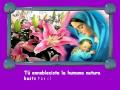 Oración a María - San Bernardo