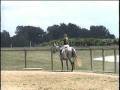 videos de Crocker Creek Farm - For Sale - JJ