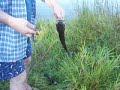 Laceyville Mehoopany PA - Are you a redneck fisherman