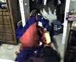 videos de Blobz 6