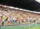 Torcida do Criciúma Esporte Clube Torcida do Criciúma Esporte Clube