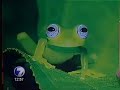 telenoticias-20081118.mp4 telenoticias-20081118.mp4
