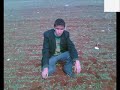 hilvan-lisesi-kral.html