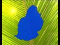Mauritius (Part 3 of 7)