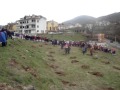 Guarda video