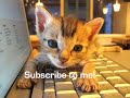 My New Video Intro