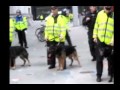 New film of Ian Tomlinson's murder by the police but still no justice
