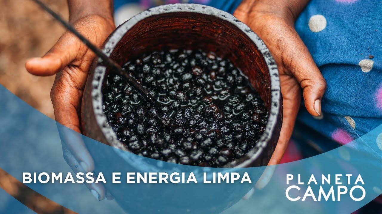 MINERADORA TRANSFORMA CAROÇO DE AÇAÍ EM BIOMASSA