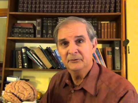 How the Brain Works: Dreams and Memory Processing, Video 18 of 20