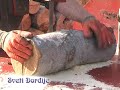 delovi delovi