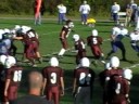 #5 still running wild #5 still running wild