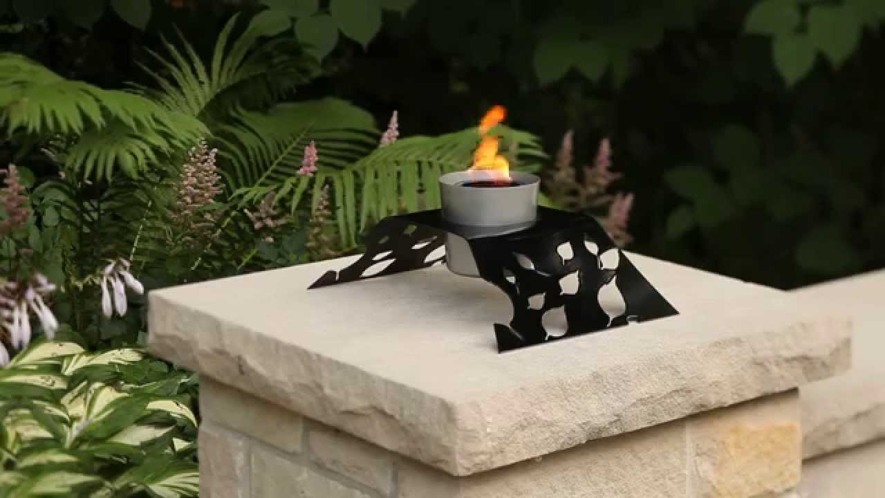 Aspen video thumbnail