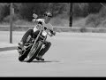 brandon-lee-shealy.html