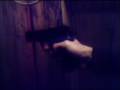 videos de Walter P88