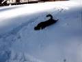videos de nora fait une glissade dans la neige