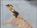 the best Match ever More Tags dont Read rkoWrestling draft, batista Triple H, Shawn Michaels, Brock Lesnar, Rob Van Dam, Mick Foley, Randy Orton, Mr Kennedy, Eddie Guerrero, Edge, John Cena, Rey Mysterio, Chris Jericho, Tazz, Matt Hardy, The Big Show, Sabu, Terry Funk, Jeff Hardy, Batista, Chris Benoit, Kurt Angle, Psicosis, Stone Cold Steve Austin, Eric Bischoff, JBL, The Undertaker, Tajiri, Ric Flair, Kane, Goldberg, Cactus Jack, The Sandman, Spike Dudley and Bubba Ray Dudley,Shawn ...