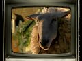 La TV CualCerda (Ep.7)