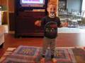 videos de bongo balls