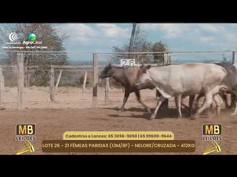 512� LEIL�O VIRTUAL MB LEIL�ES