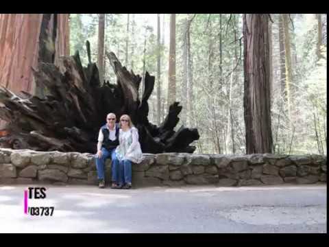 ARNOLD CA REAL ESTATETim & Lisa Muetterties CA DRE 00703737