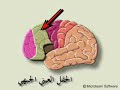 فيديو يتحدث عن تفسير قوله تعالى كلا لئن لم ينته لنسفعا بالناصية ناصية كاذبة خاطئة
