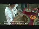 Hungry Ghost Festivals Malaysia