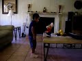 topo gigio dance