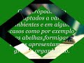 Trabalho de Biologia