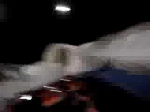 Bob Sled La Plagne 1800