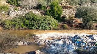 مجرى وادي خربة قيس جنوب سلفيت