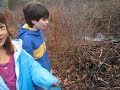 Beaver Lodge