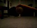 videos de Quick Tip: How to throw a gyroball