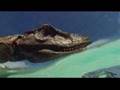 Liopleurodon ataca a un Eustroptospondylus