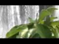 argentina: cataratas do iguacu