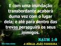 videos de Naum - Capítulo 1