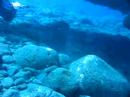 knapp diving at Atlantis 22